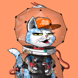 1169