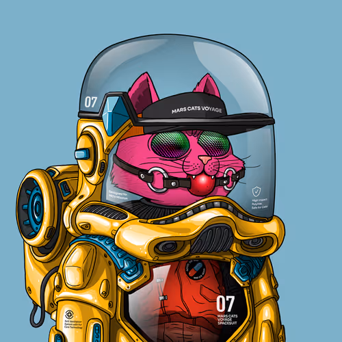 Mars Cat in Spacesuit #1343