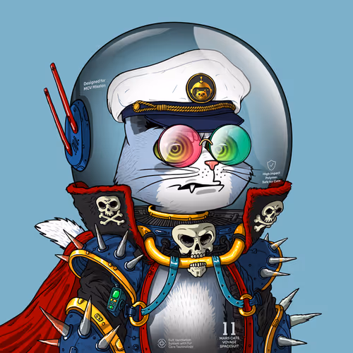 Marscatsinspacesuits