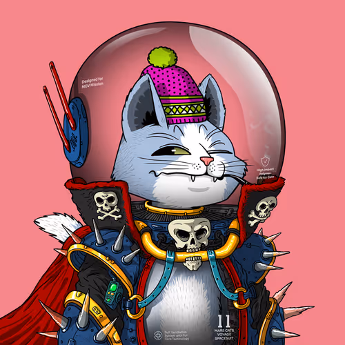 Marscatsinspacesuits