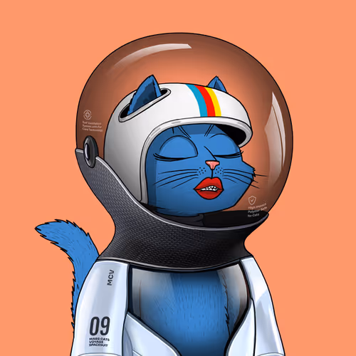 Marscatsinspacesuits