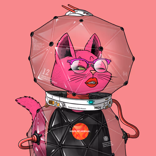 Mars Cat in Spacesuit #1701