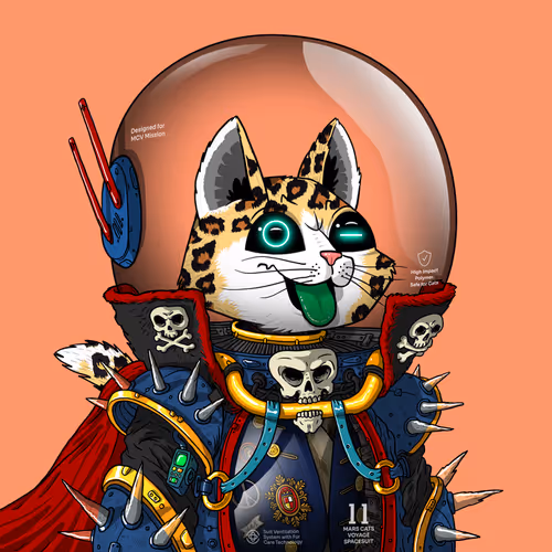 Marscatsinspacesuits