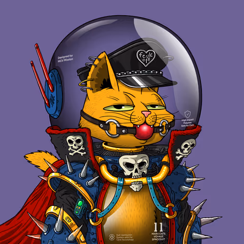 Mars Cat in Spacesuit #1765
