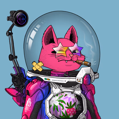 Mars Cat in Spacesuit #1894