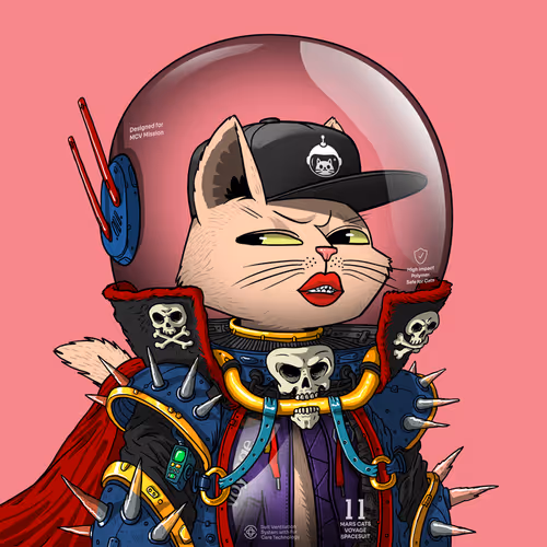 Mars Cat in Spacesuit #19