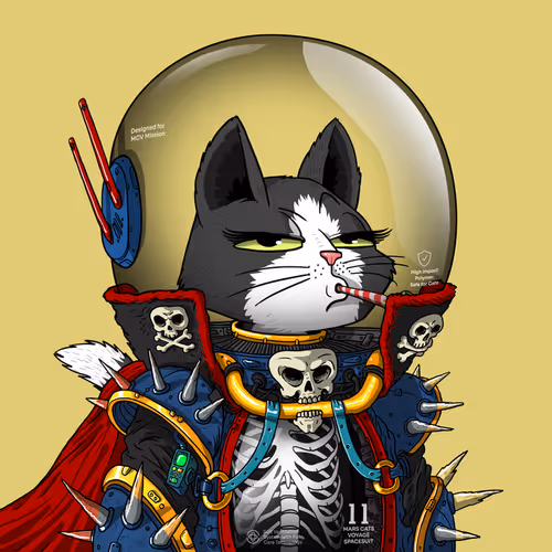 Mars Cat in Spacesuit #1149
