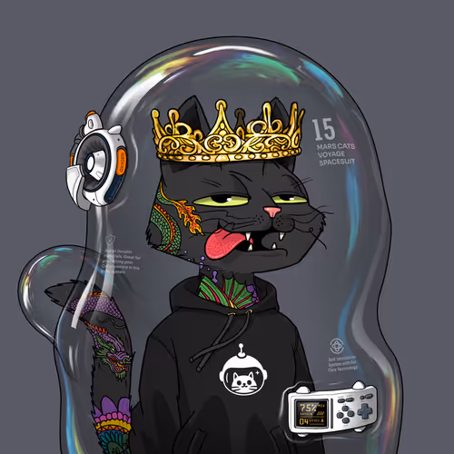 Mars Cat in Spacesuit #9