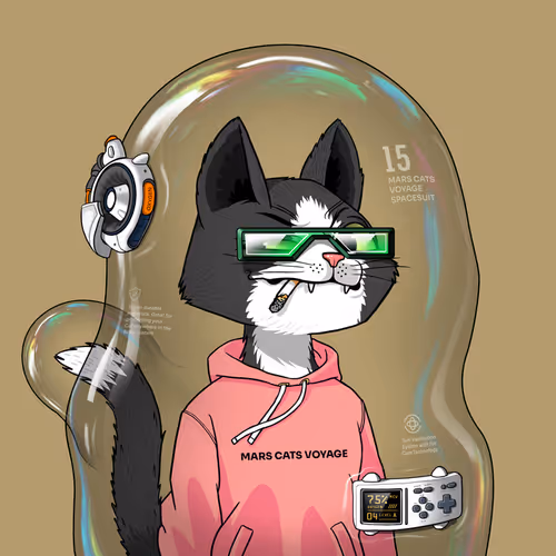 Mars Cat in Spacesuit #355