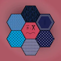 Hexa Flower #729 🌼