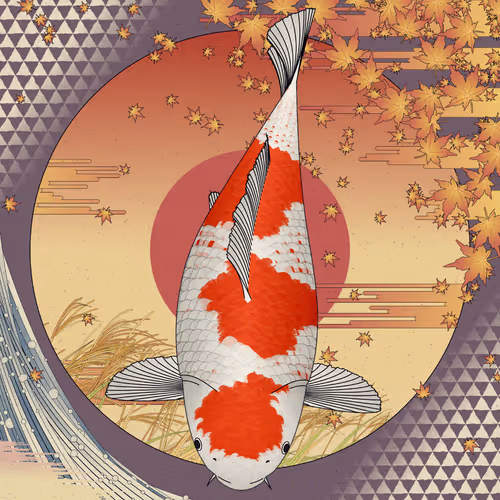 Nishikigoi Nft