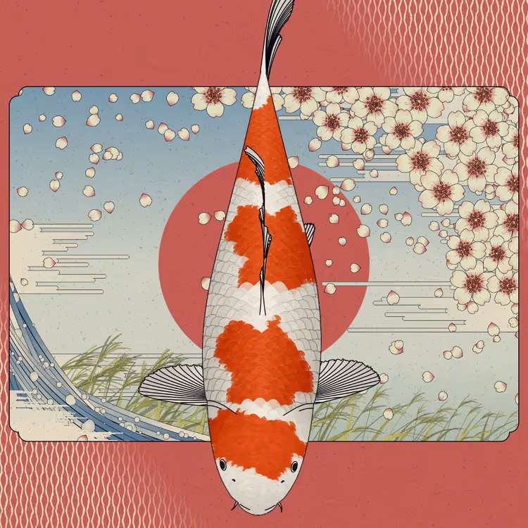 Carp and Seasons #8407