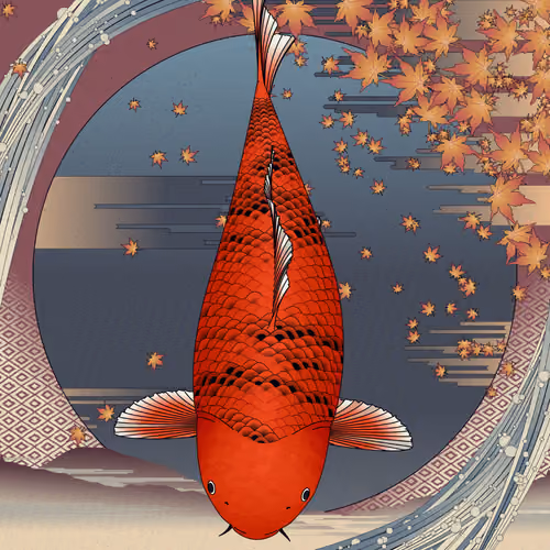 Carp and Seasons #8432