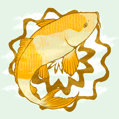 Nishikigoi Nft