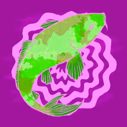 Generative patterns "NISHIKIGOI" #9492