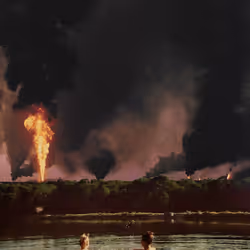This is Fine