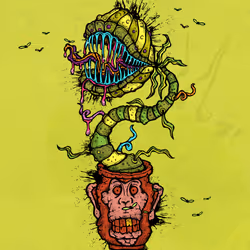 Funky Fly Trap #6