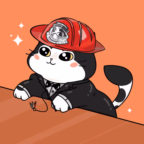 Bonitocatito
