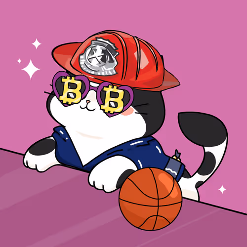 Bonitocatito