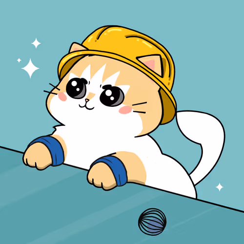 Bonitocatito