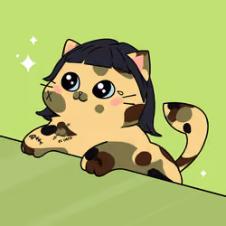 Bonito Catito #3528