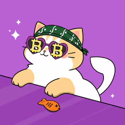Bonito Catito #4499