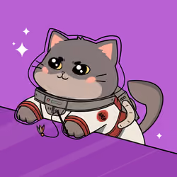 Bonito Catito #2604