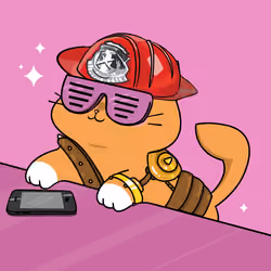 Bonito Catito #1374
