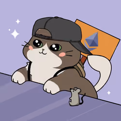 Bonito Catito #2573