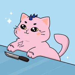 Bonito Catito #4466