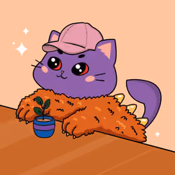 Bonito Catito #4337