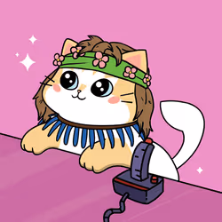 Bonito Catito #1691