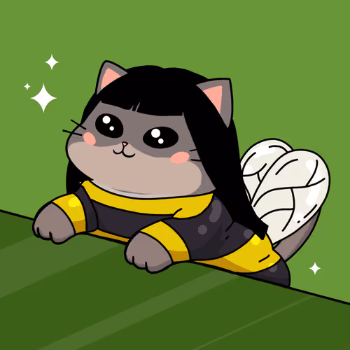 Bonitocatito