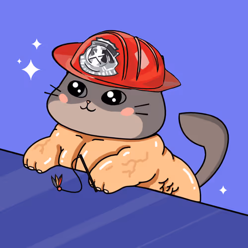Bonitocatito