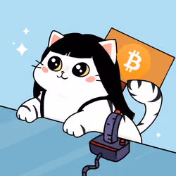 Bonito Catito #2895