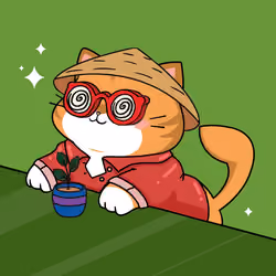 Bonito Catito #4006