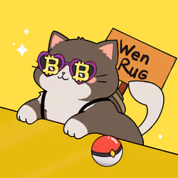 Bonito Catito #4373