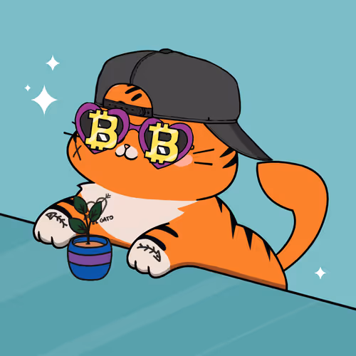 Bonitocatito