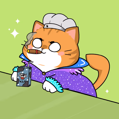 Bonitocatito