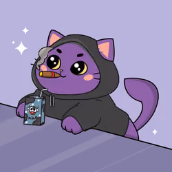 Bonito Catito #4592