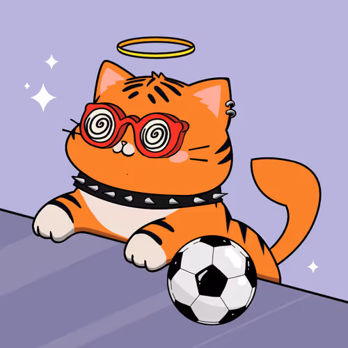 Bonitocatito
