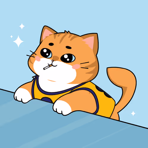 Bonitocatito