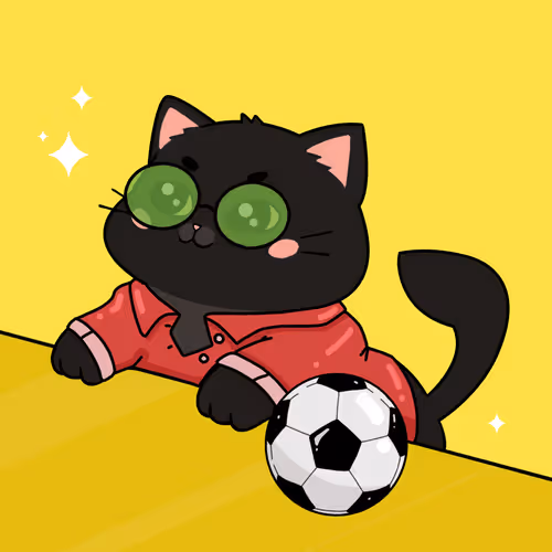 Bonitocatito