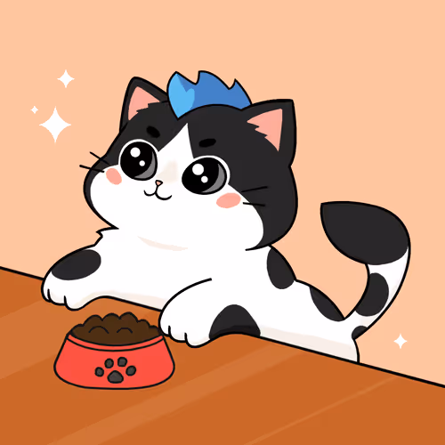 Bonitocatito
