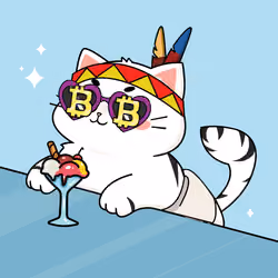 Bonito Catito #2742