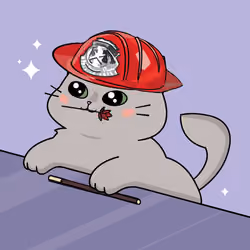Bonito Catito #262