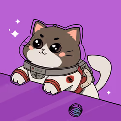 Bonito Catito #3879
