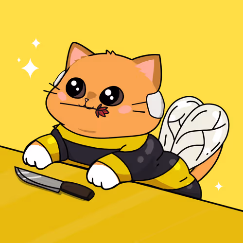 Bonitocatito