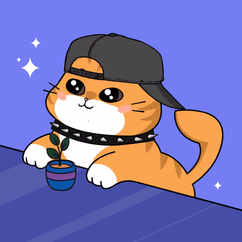 Bonito Catito #2658