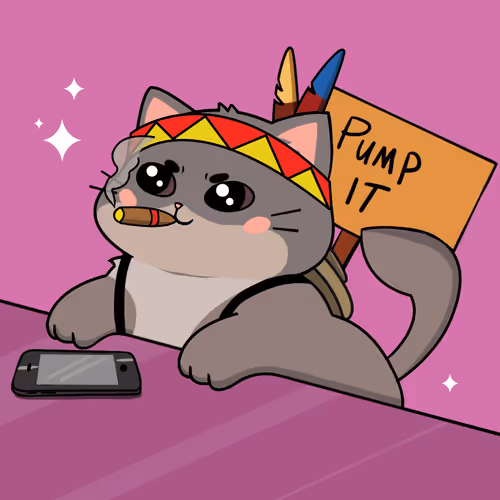 Bonitocatito